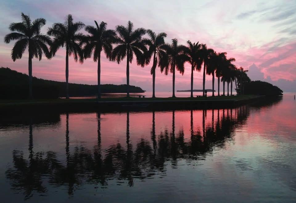 ⁦<a href="/MarkPotterMiami/">Mark Potter</a>⁩ An inspirational image shot by former NBC News investigative reporter and my friend Mark Potter — to help you get through this day. #covid19 #staytogetherapart #socialdistancing #stayhealthy #survivecovid19