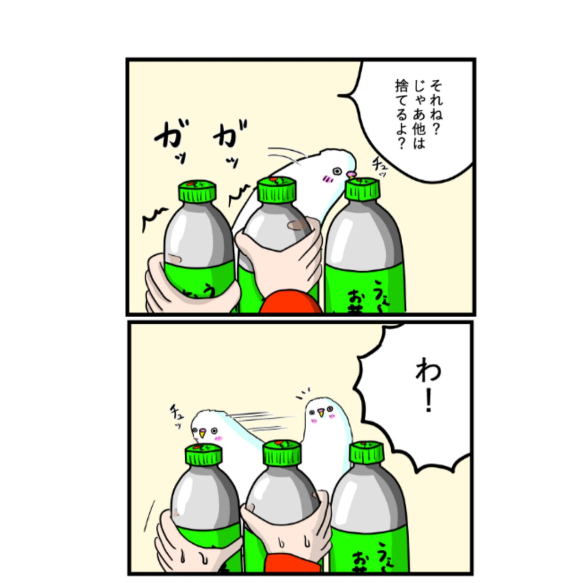 タクセニョリータ インコのましゅマロ 決断 インコ セキセイインコ 鳥 ペット 動物 ペット漫画 漫画 マンガ 四コママンガ 4コママンガ 絵 絵描きさんと繫がりたい イラスト おーいお茶 伊藤園 お茶 タクセニョリータ インコのましゅマロ 決断 インコ セキセイインコ 鳥 ペット 動物 ペット漫画 漫画 マンガ 四コママンガ 4コママンガ 絵 絵描きさんと繫がりたい イラスト おーいお茶 伊藤園 お茶