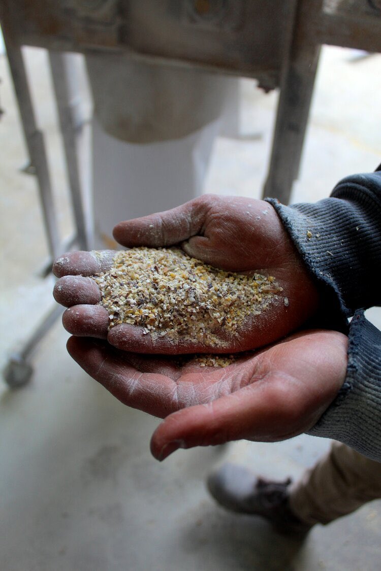 Think malt is boring? Evidently not. Yesterday’s feature on <a href="/SugarCreekMalt/">Sugar Creek Malt Co.</a> has launched itself into our top 10 most read stories of all time within 24 hours. Cheers to that. 

pelliclemag.com/home/2020/4/22…