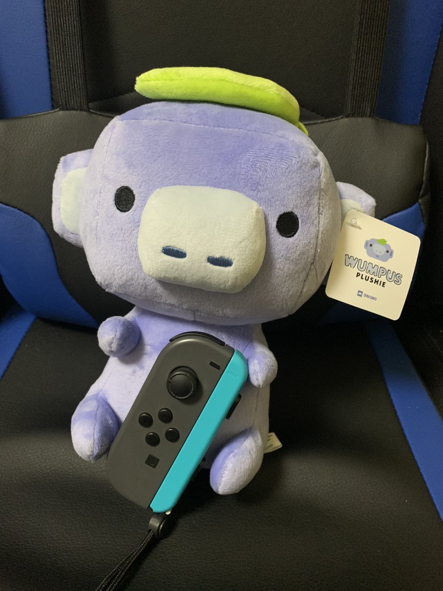 Discordからコロナ募金のお礼でWumpusぬいぐるみが来ました〜かわいい