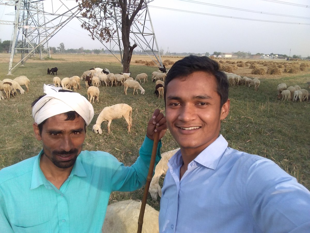 Balaji_Pathak11's tweet photo. Today I spent time with our beloved friend Pal Ji. It Was Good experience for me playing with their sheep they are so Cute .I'm happy that he showed interest in investing in #GoldBond
#PalCommunity Always Play Very Important Role To Enhance Our Rural Economy #investing https://t.co/IbDYacolnd