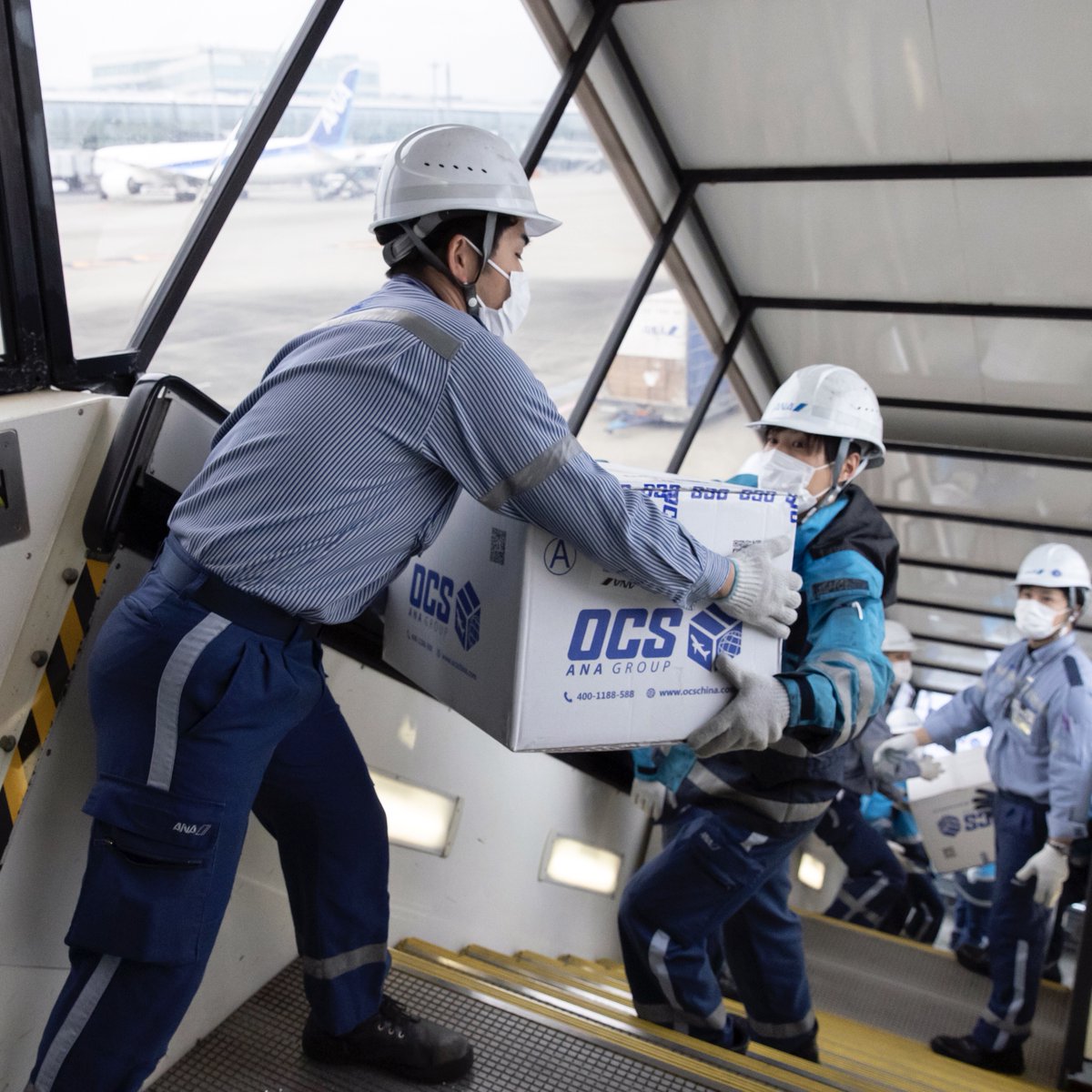FlyANA_official's tweet photo. We’ve modified our passenger cabin space to transport medical supplies from China to Japan. We’re now able to transport 1.4 times as much cargo as usual to ensure masks and protective clothing can be sent to in-need communities. https://t.co/sUdCYsi2qL