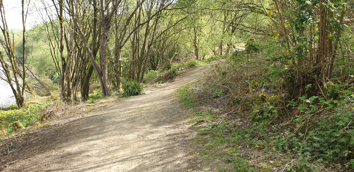 Path damage in Springwater Park is actually landslide which goes into the river .. whole section path that was flat is on an angle. I used to be able to drive down here