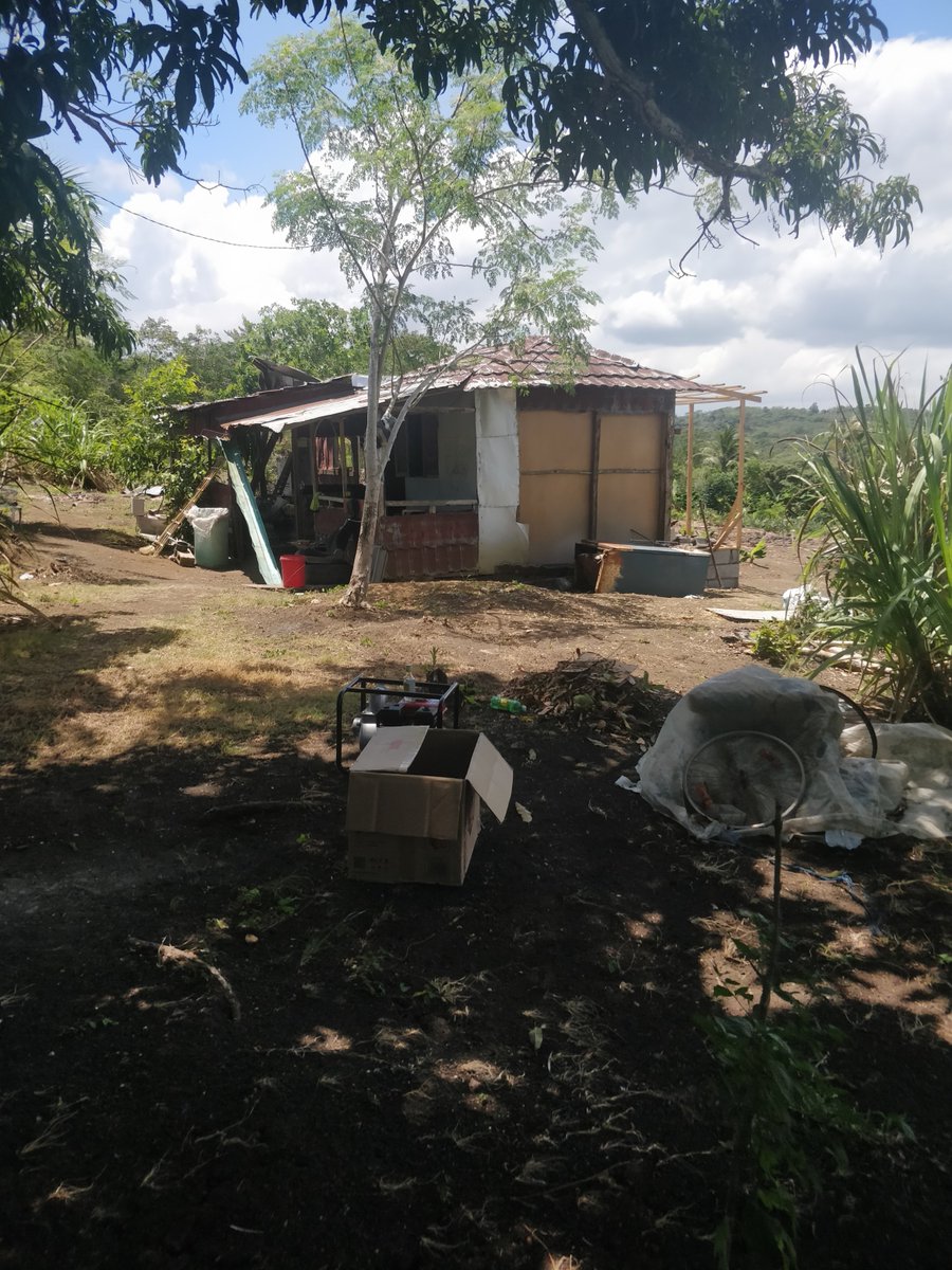 localspiceja's tweet photo. On location for another Local Farmer Setup. #supportlocalfarmer #localspice #Jamaica #StMary https://t.co/LfCsJReXCD