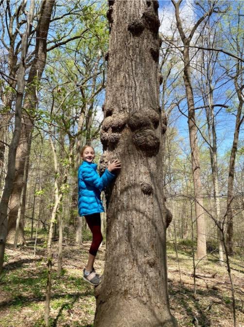 BullisSchool's tweet photo. Young Bullis scientists in 6th grade were given a choice about how to celebrate Earth Day.  Here is some of what they created: an environmental advocacy poster, photos from a hike, a bike ride, and a tree climb, &amp; a nature collage.  #BullisRemoteLearning #EarthDay #BullisStrong https://t.co/JWwJvYLLwy