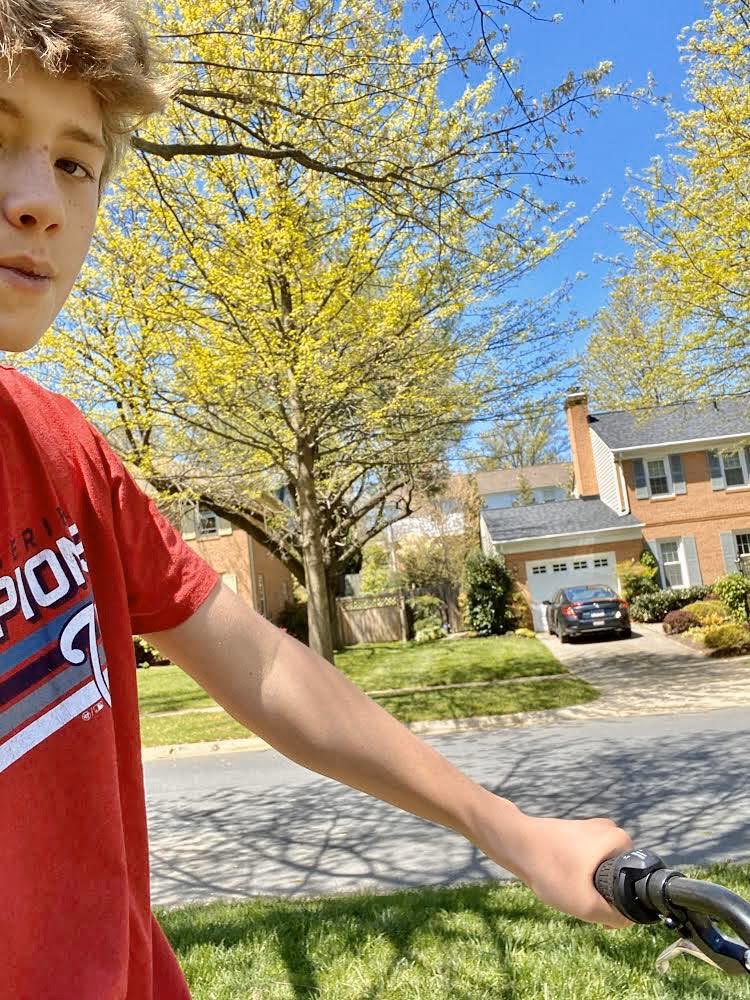 BullisSchool's tweet photo. Young Bullis scientists in 6th grade were given a choice about how to celebrate Earth Day.  Here is some of what they created: an environmental advocacy poster, photos from a hike, a bike ride, and a tree climb, &amp; a nature collage.  #BullisRemoteLearning #EarthDay #BullisStrong https://t.co/JWwJvYLLwy
