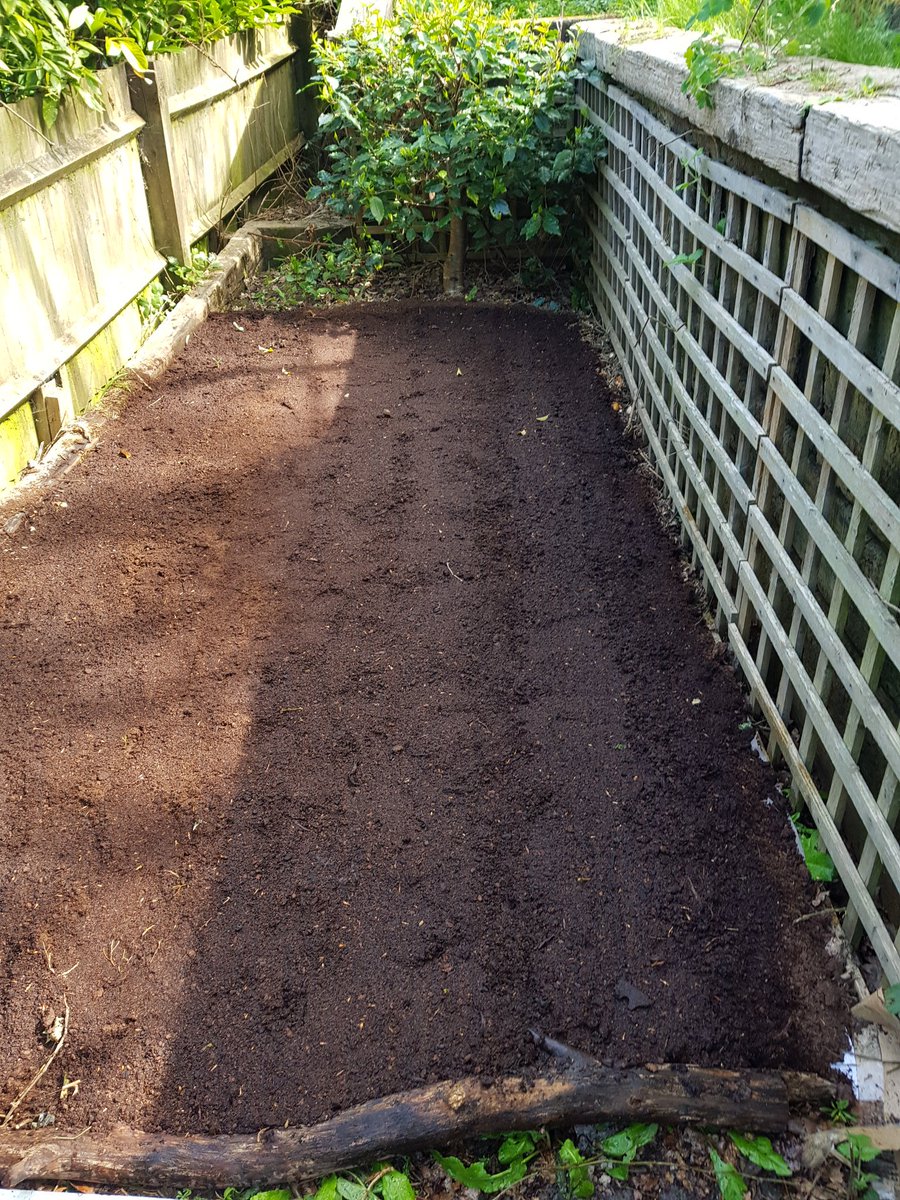 Just planted two rows of beetroot and a row of leafy lettuce. Plantes two butternut squash to test if they are ready. If so will plant maybe one or two more.