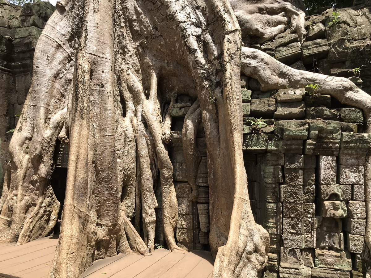 Kan een pre-axiale tekst uit het bronzen tijdperk filosofisch zijn? En dan bedoel ik niet alleen wijsgerig, wijsheidszoekend, maar in de zin van het systematisch doordenken van axiomatische uitgangspunten? We gaan het zien. Zondag Verdiepingsdag China 2: rondom de Yi Jing.