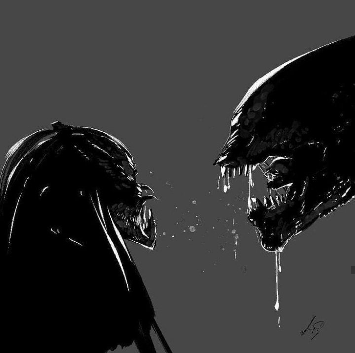predatorfanpage's tweet photo. #avp #avp2 https://t.co/vzfkKmCaGr