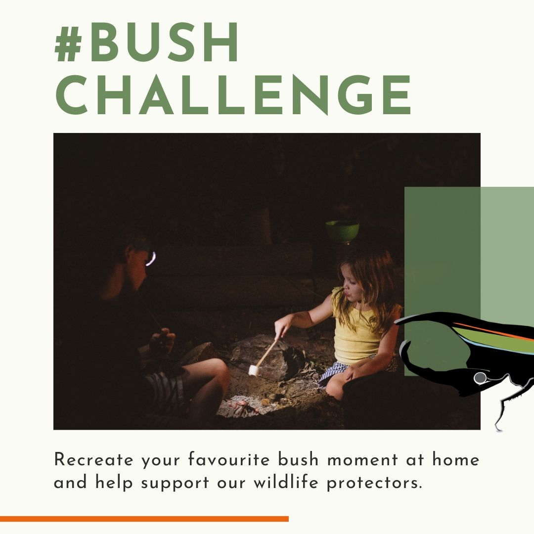 loveAfrica_'s tweet photo. CHALLENGE: Enter @ranger_protect's #BUSHCHALLENGE and help them protect those who protect our wildlife.

Recreate your favourite Bush moment at home in solidarity with our rangers that are still working as the world comes to a halt.

More details here: https://t.co/AlVcie6x5M https://t.co/ERAXJvlne8
