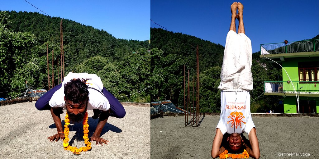 shreehariyoga's tweet photo. Become a Shree Hari Yoga Affiliate Partner and earn a passive income, all while promoting health and wellness.
Check this link - 
https://t.co/WpWwypCbmM
#yoga #yogainspiration #yogawithshreehari #yogavacation2020 #yogateacher #yogaeveryday
 #yogaposes #yogalife #yogaeverywhere https://t.co/KoFoGxa2eN