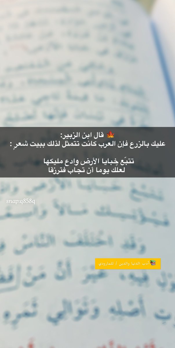 " المهلهل " tweet media