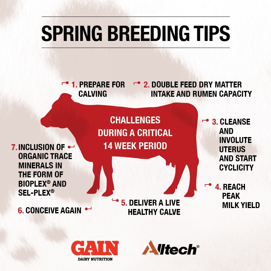 TirlanFarmLife's tweet photo. Check out 7 steps for Spring Breeding π #SpringBreeder #GAINDairyNutrition #SpringBreederTips
@Alltech https://t.co/FOOLMwh27F