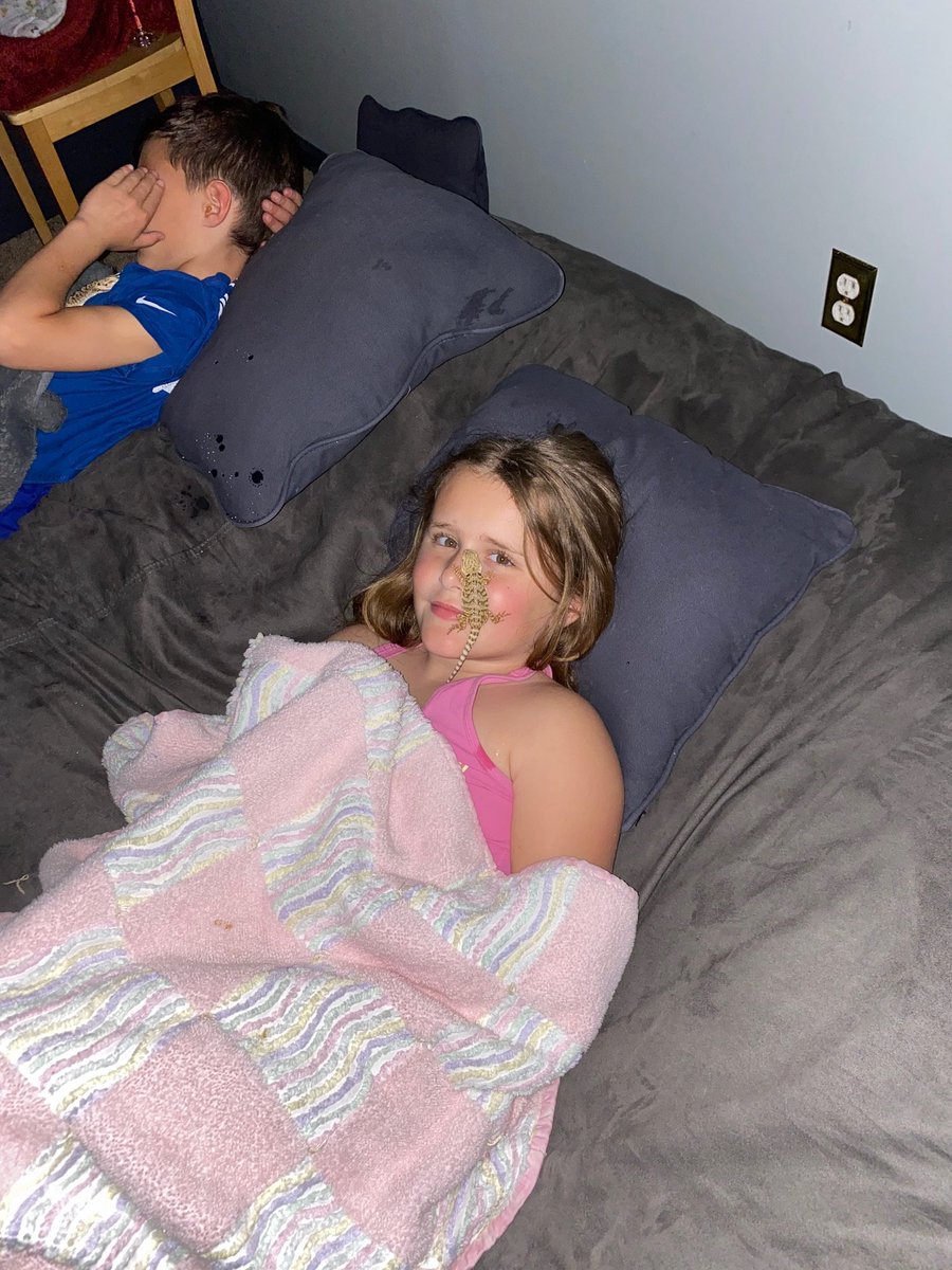 Megan Comparato tweet media