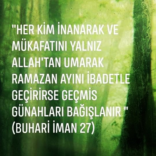 Azize Işıkhan (@azize36310396) on Twitter photo 