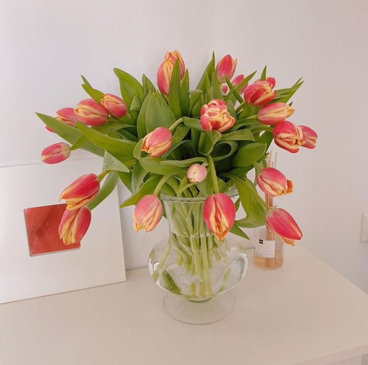 FlowerPatch16's tweet photo. #pinktulips 
Pink is a color loved by most ladies and it expresses femininity, gentleness, happiness and love.
#tulips
#flowers4oxygen. https://t.co/H54t4p0eji