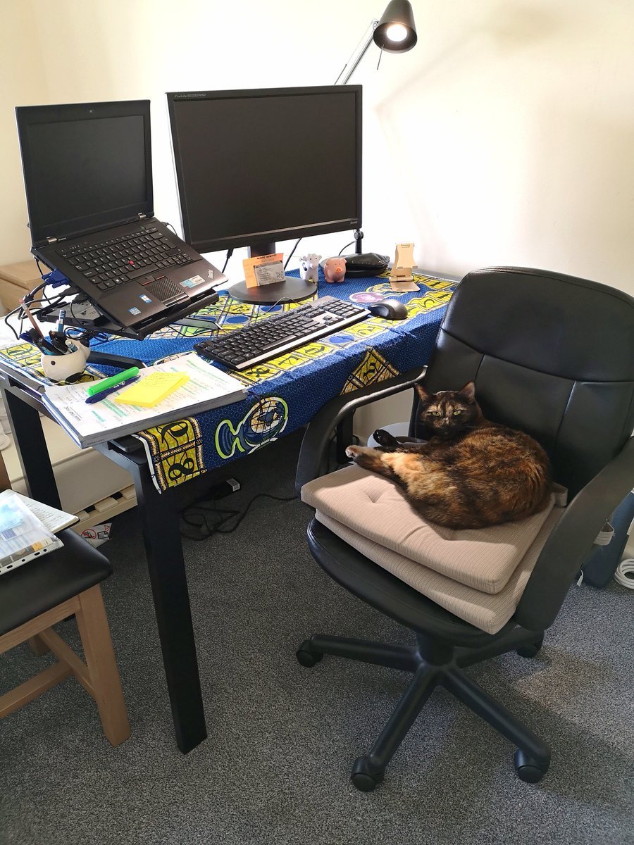 SevcGIS's tweet photo. Found someone on my spot after lunch break. Between this little one and the gorgeous weather outside, it is hard to get back to work
#CatsOfTheQuarantine #WFH #BGSFromHome https://t.co/OG6pv9LllI