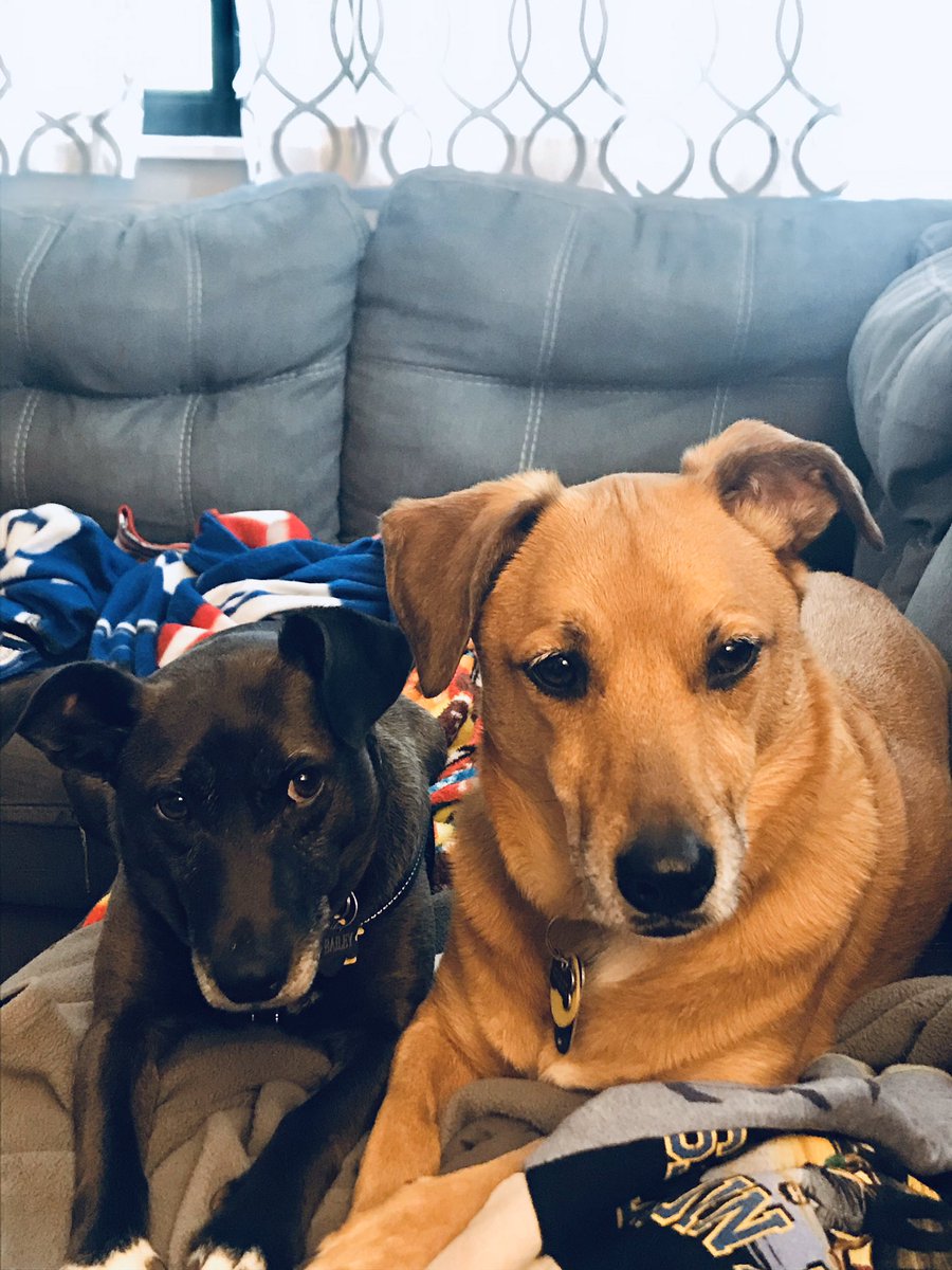 Mrs. Zamudio tweet media