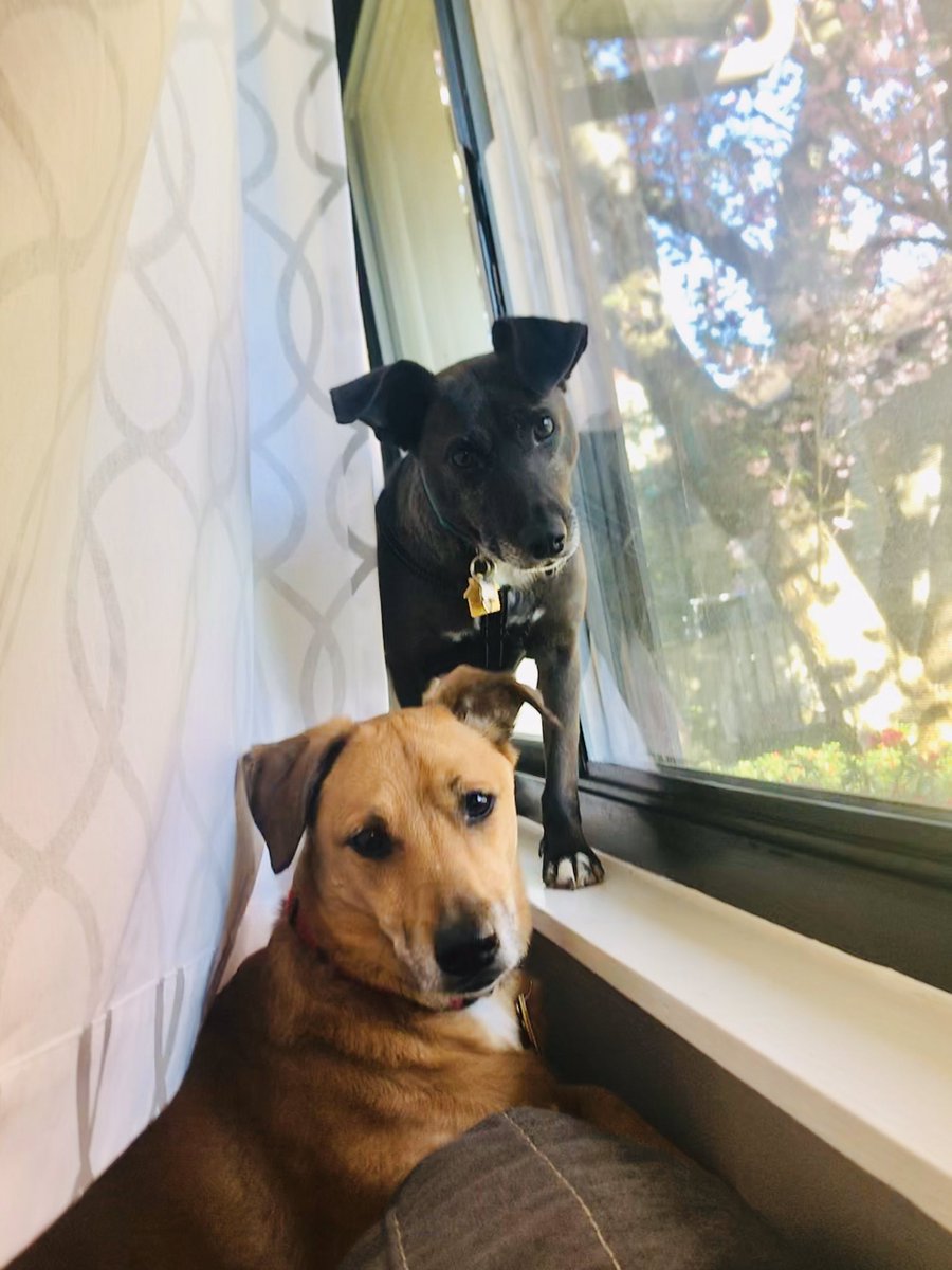 Mrs. Zamudio tweet media