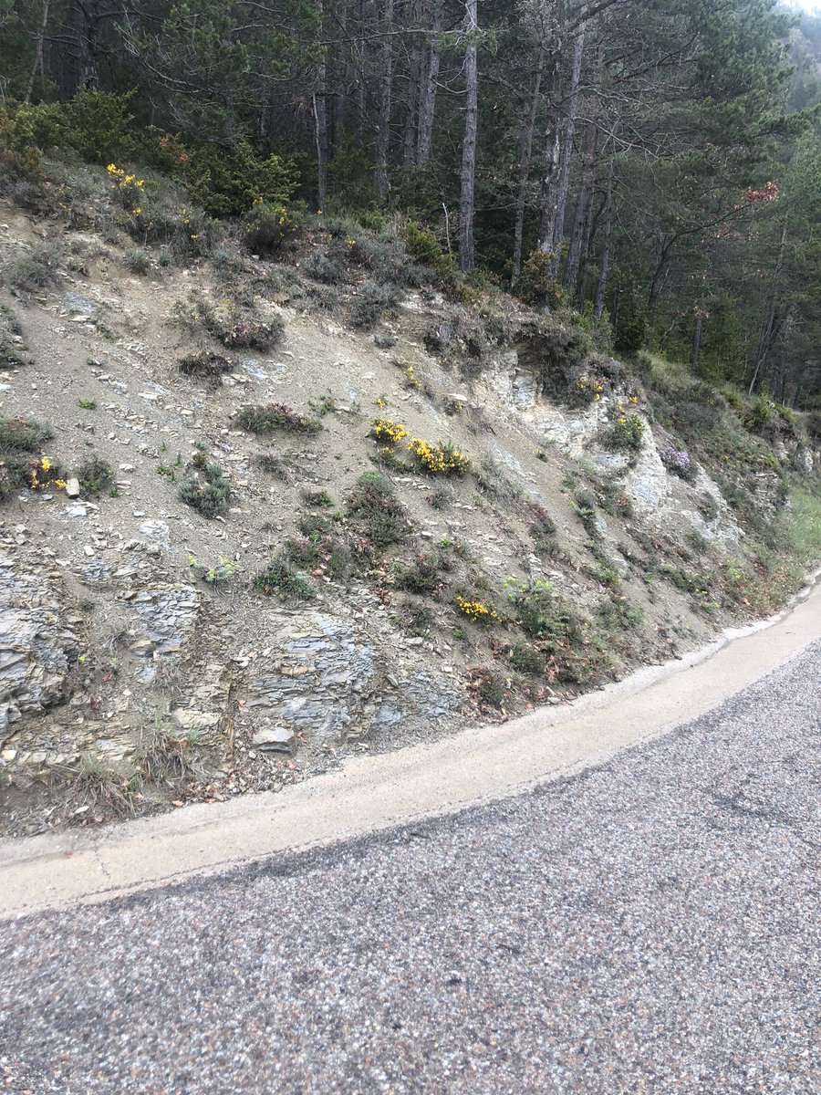 👍🏻 La GI-402 ja llueix les cunetes ben netes i amb bon estat. Seguim netejant la resta de carreteres que pertanyen al Parc de Bianya.