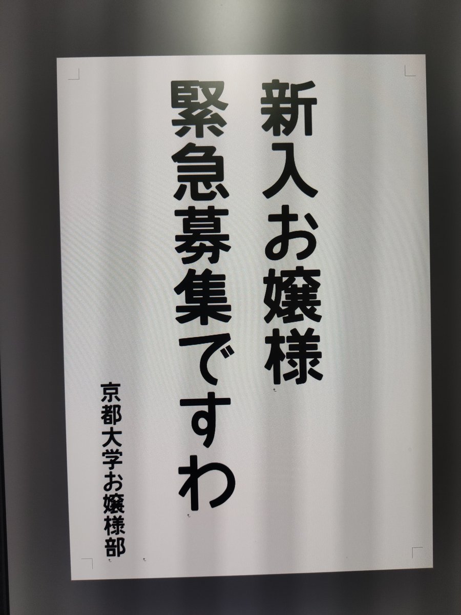 リタ伯爵 猫 彡 癶 癶