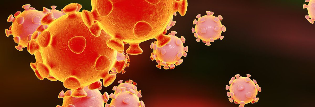 britneysim99's tweet photo. The Virginia Department of Health reported Thursday that there are 370 confirmed deaths as a result of COVID-19 in Virginia. The death toll increased by 23 since 347 deaths were reported Wednesday. #303MIR https://t.co/7pfX6A7Jfs