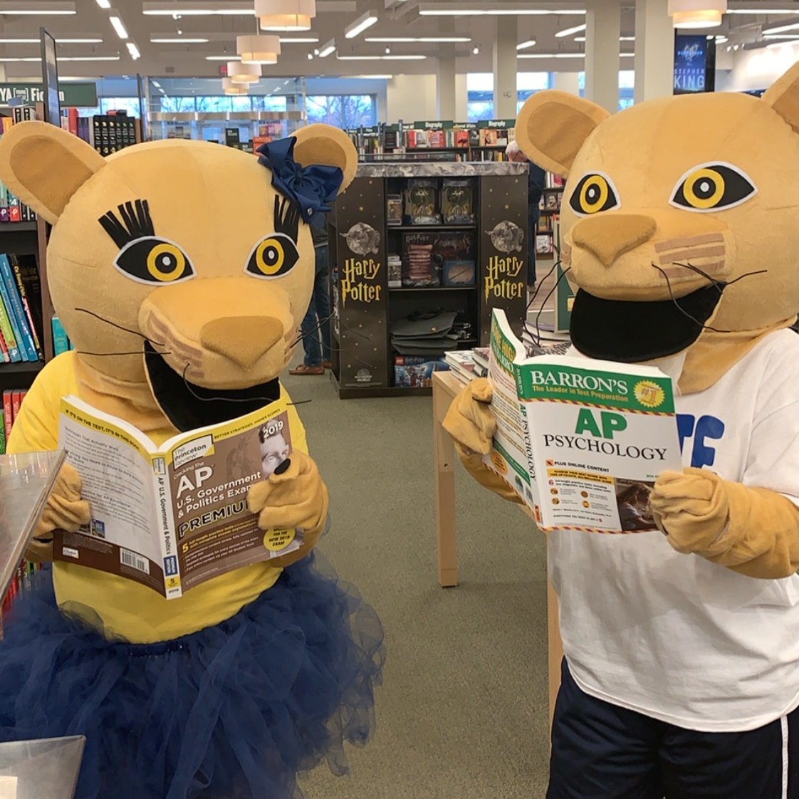 Clare & Monte (@claremonte_ftps) on Twitter photo Starting Monday Clare and Monte will be tweeting daily "Cougar Call Out" to CES students who are being
Paws-itive during Remote Learning! #CESVirtualCoolCats <a href="/FTPSchools/">FTPSchools</a> <a href="/CES_FTPSchools/">Nicole Sury Bevere</a> @RizkallaVP_FTPS <a href="/NAT_FTPSchools/">Nikkii Tatum</a> Starting Monday Clare and Monte will be tweeting daily "Cougar Call Out" to CES students who are being
Paws-itive during Remote Learning! #CESVirtualCoolCats <a href="/FTPSchools/">FTPSchools</a> <a href="/CES_FTPSchools/">Nicole Sury Bevere</a> @RizkallaVP_FTPS <a href="/NAT_FTPSchools/">Nikkii Tatum</a>
