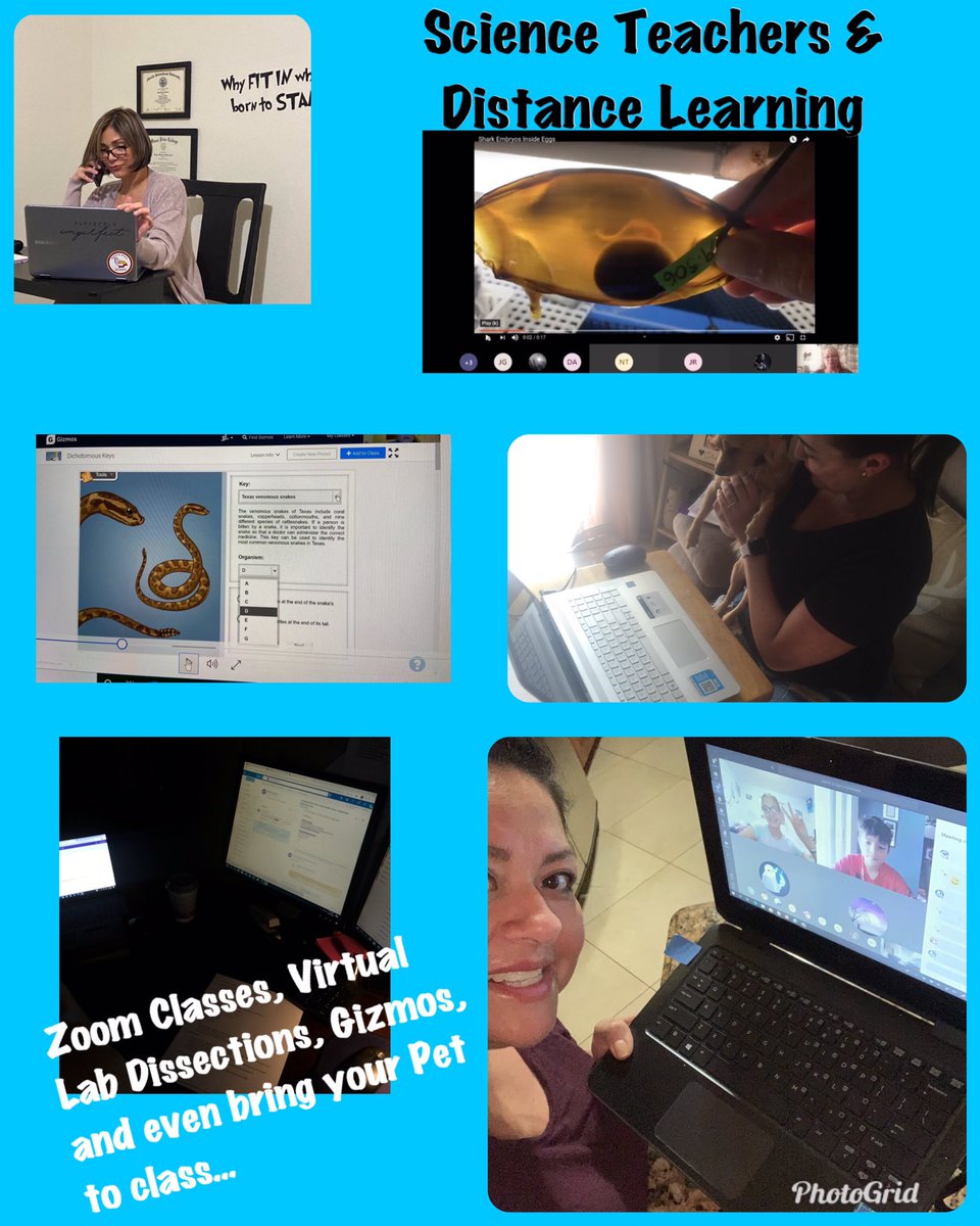 ArvidaVikings's tweet photo. Distance learning doesn’t stop Arvida’s Science Dept. #amsstrong @MiamiSup @MiamiCAO @MDCPSSouth @MDCPS https://t.co/Q6H8gqEn3R