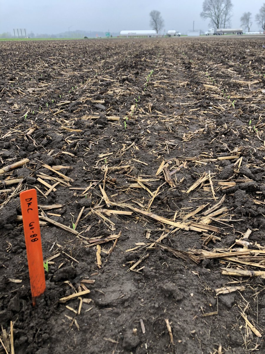 Garry Graham II tweet media