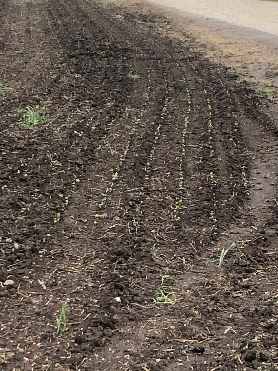 Garry Graham II tweet media