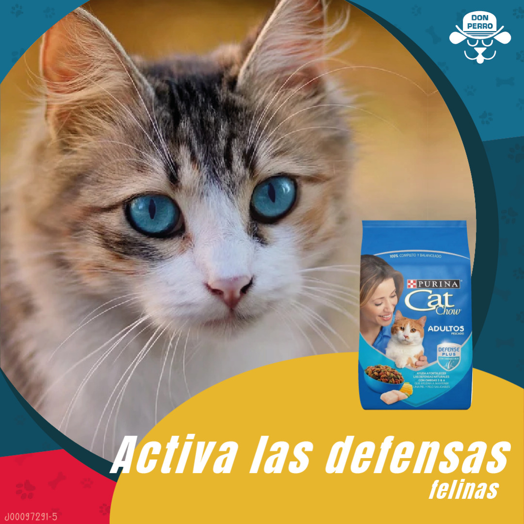 Consigue los productos Cat Chow® en 
<a href="/tiendasdonperro/">Don Perro</a>