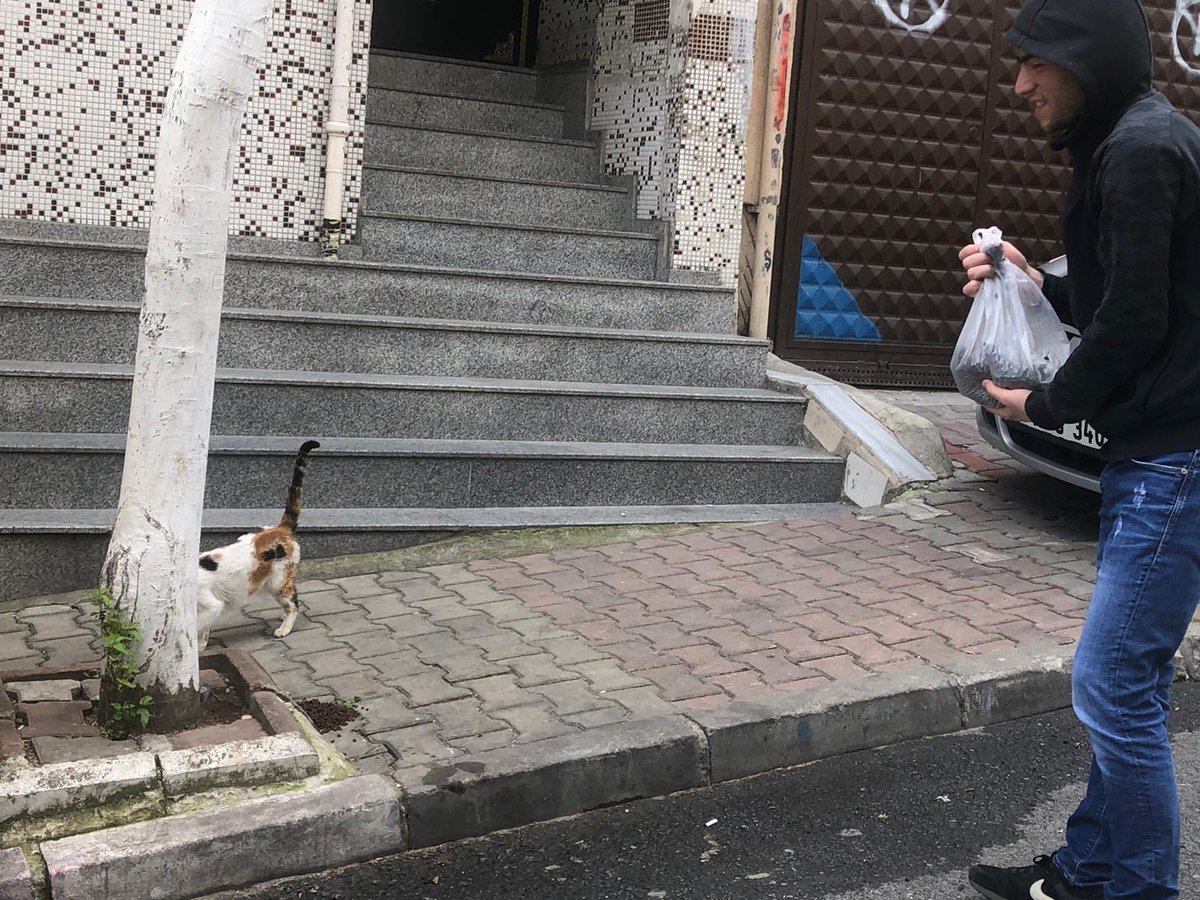 Sokağa çıkma yasağı olsa bile dayanışma durmaz. 

Sokak dostlarımıza mama dağıtımı yaptık. 

Epilepsi hastası 18 yaşındaki bir dostumuza ilaç dayanışması sağladık. 

#DayanışmaYaşatır