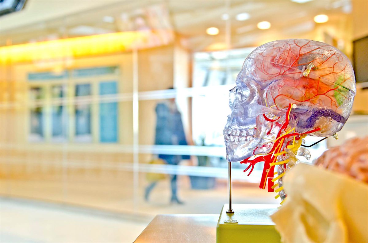 Muscle memory, long-term memory, sensory memory, and a lot more information about our inner memory cards you can find in this <a href="/habr_eng/">Habr.com</a> article! 

habr.com/ru/company/spb…