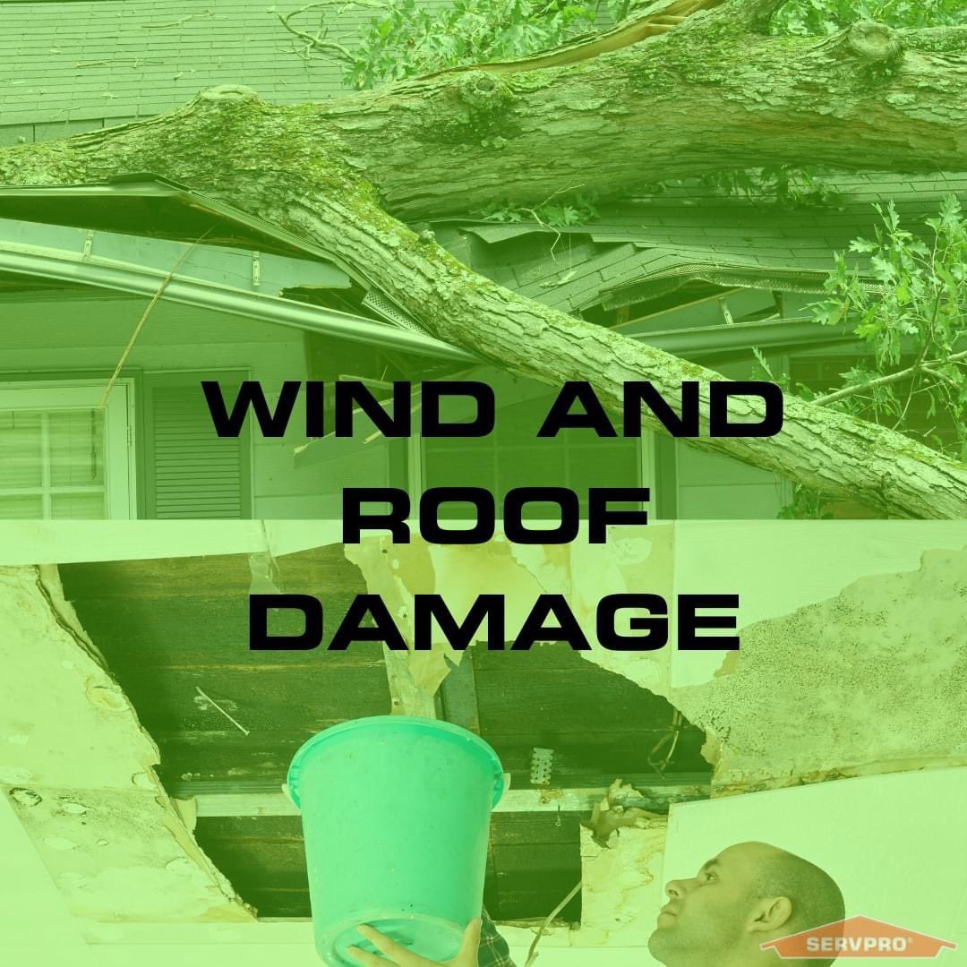 High winds can cause damage to your roof, even without hail or other harmful weather. There are several types of damage high winds can cause to your roof, including leaks, missing shingles, and gutter problems....

Whether it's inside or outside, call SERVPRO at 850-765-5706