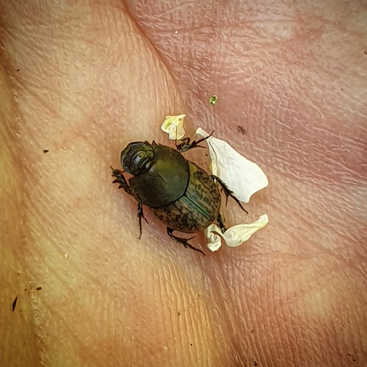 Ryan Mitchell tweet media