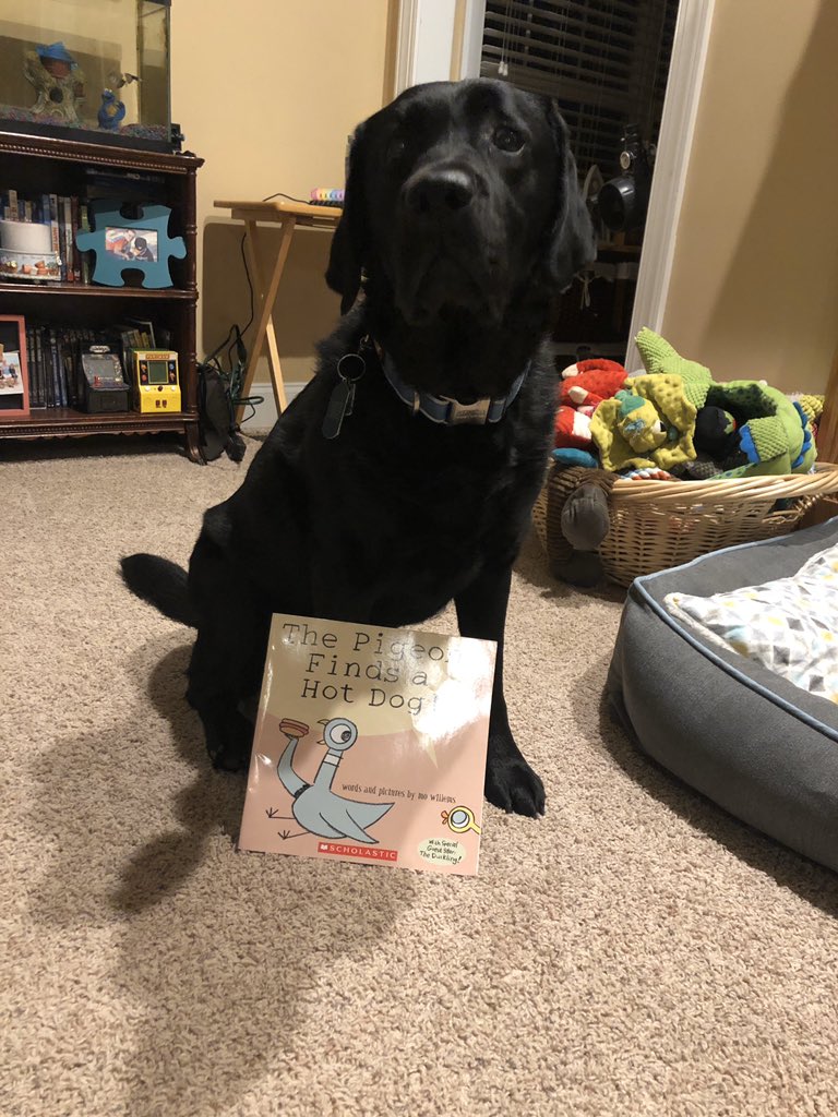 Ross loves reading to his students <a href="/PAALSinSC/">PAALS</a> #lcelower