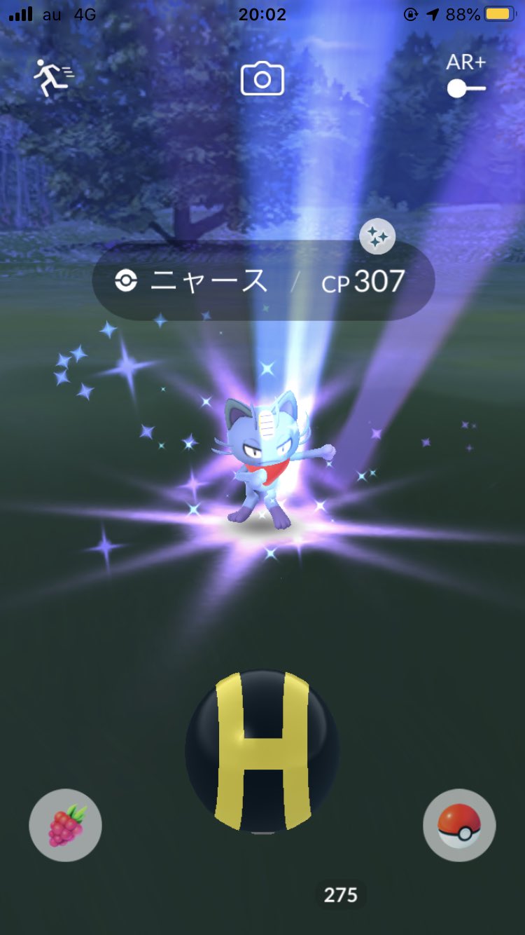 Tmr0318 色違いアローラニャースget ポケモンgo 色違いニャース 色違いアローラ T Co Vm4otwnlt8 Twitter