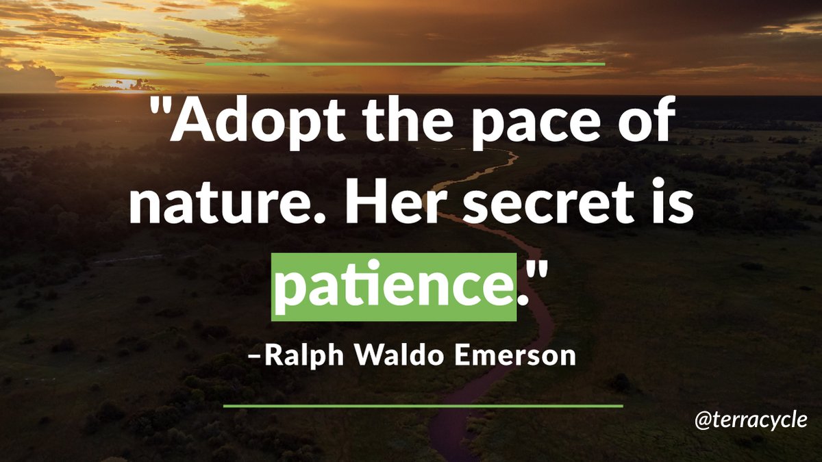 In a fast paced world, we are now being reminded to slow down. Everything comes in time. Nature knows this. Look around and learn.