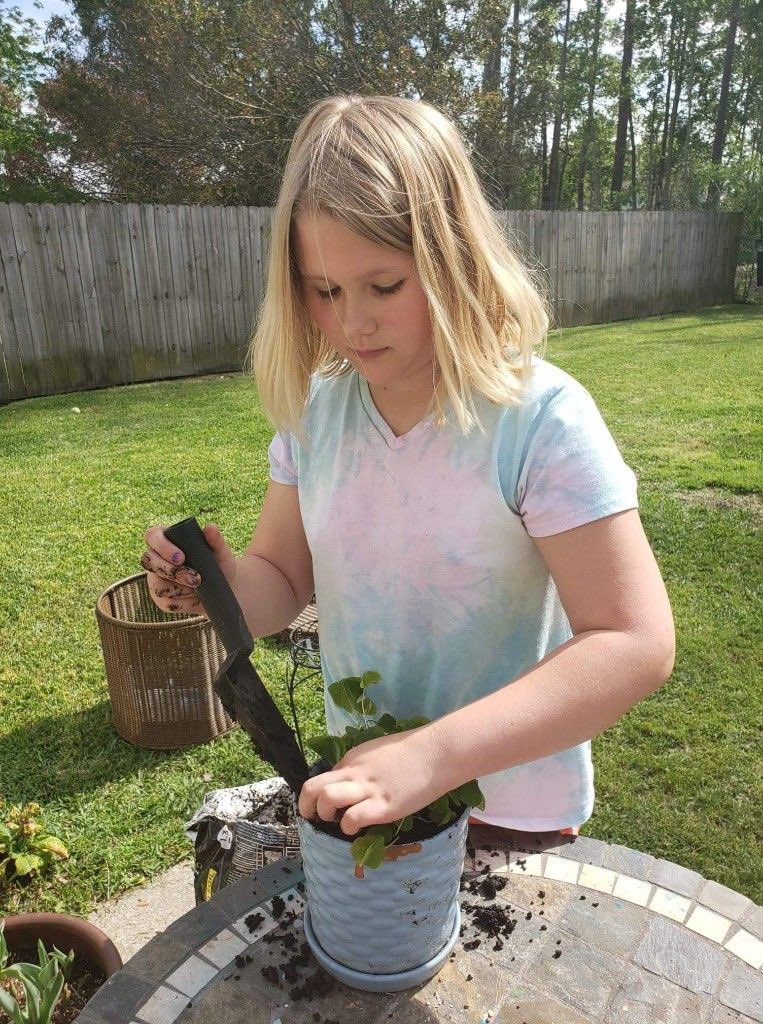 3rd Grade HCES tweet media