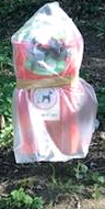 recycleforbury's tweet photo. Wef today we are re-opening some sealed litter & dog
poo bins for use on certain routes in #Bury
All other litter & dog poo bins will remain sealed #Covid_19
In those cases, pls continue to dispose of your litter & dog poo in your grey bin at home.
#keepburyclean #dontdroplitter https://t.co/hwpRxzgiJb