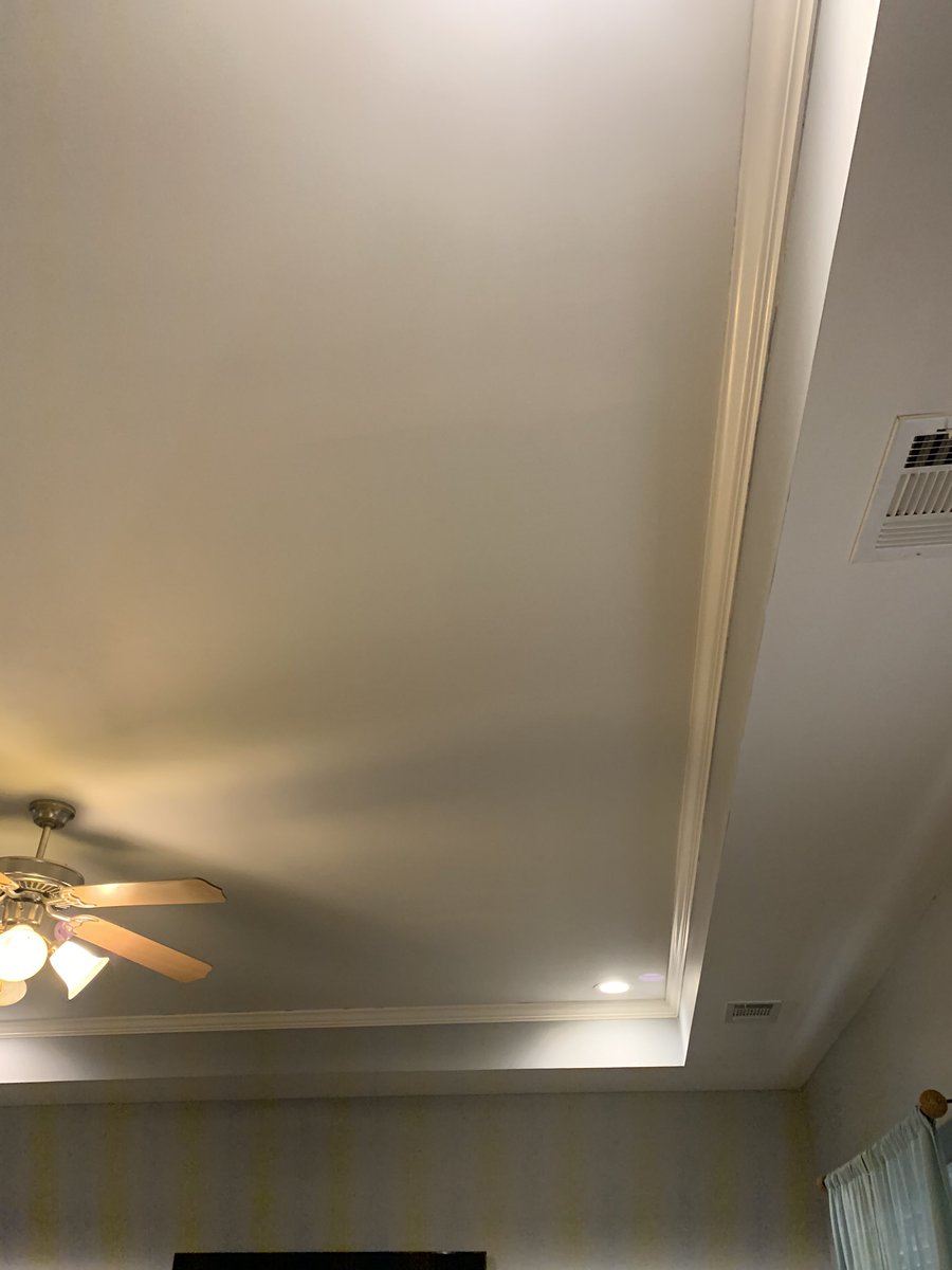 scraped off the popcorn ceilings throughout the whole house and repainted the ceilings (this was very oddly satisfying)