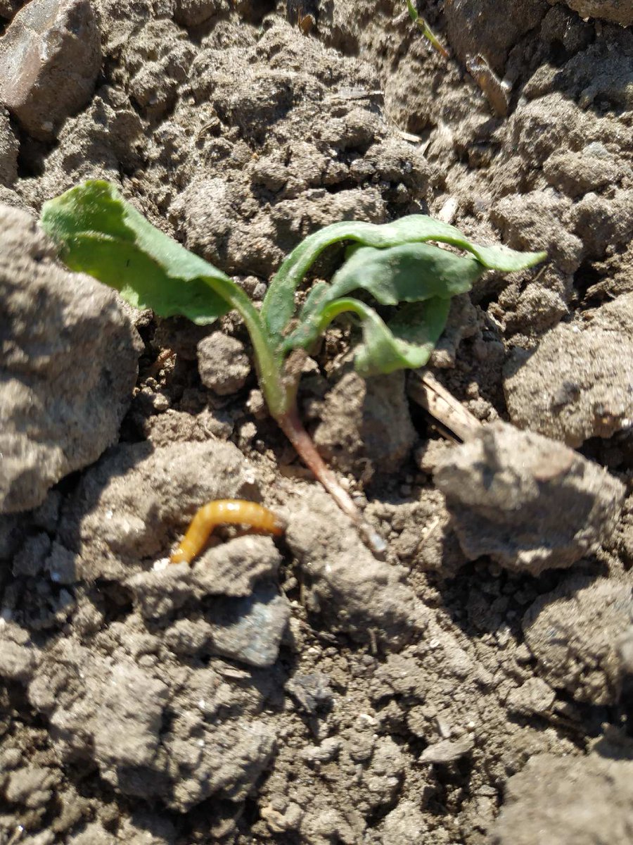 ITB - 60 tweet media