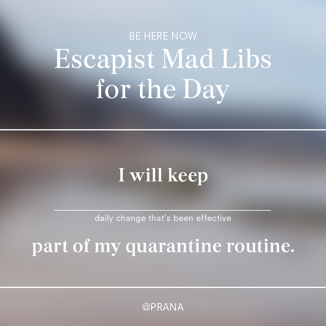 prAna's tweet image. #wfh2020 #quarantineroutine