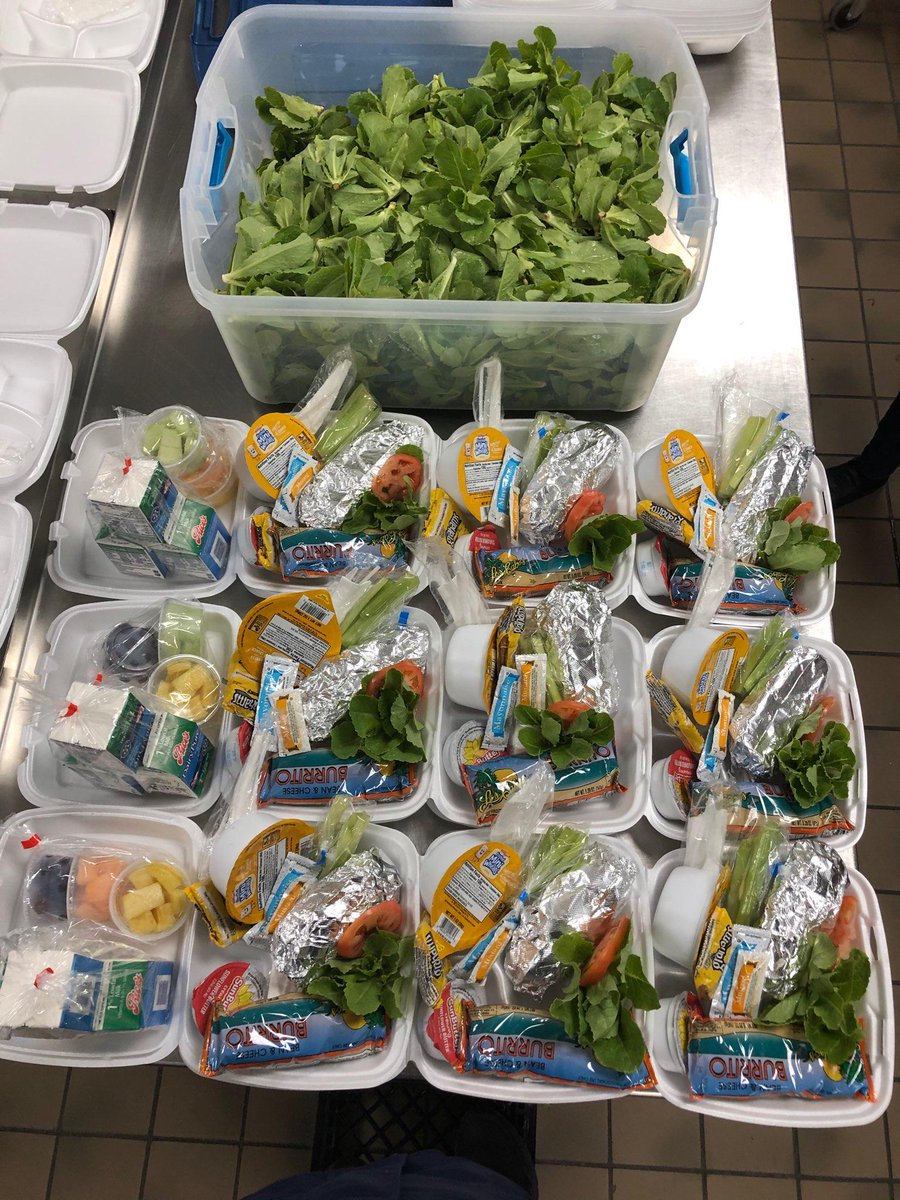 jleebonena's tweet photo. Breakfast, Lunch and Supper is served! Romaine lettuce from our own Falcon Farm! Delicious! Drive by 7 am-10 am 15101 Edgemere for all scholars 18 and under.  #IDEAEdgemere #FierceFalcons https://t.co/eybtvyG7I3