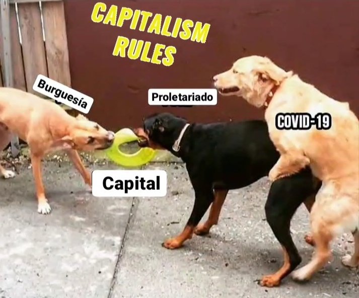 postcovid19's tweet photo. 'Das Kapital' Karl Marx.
#DiaDelLibro https://t.co/eE8wgVaDJ6
