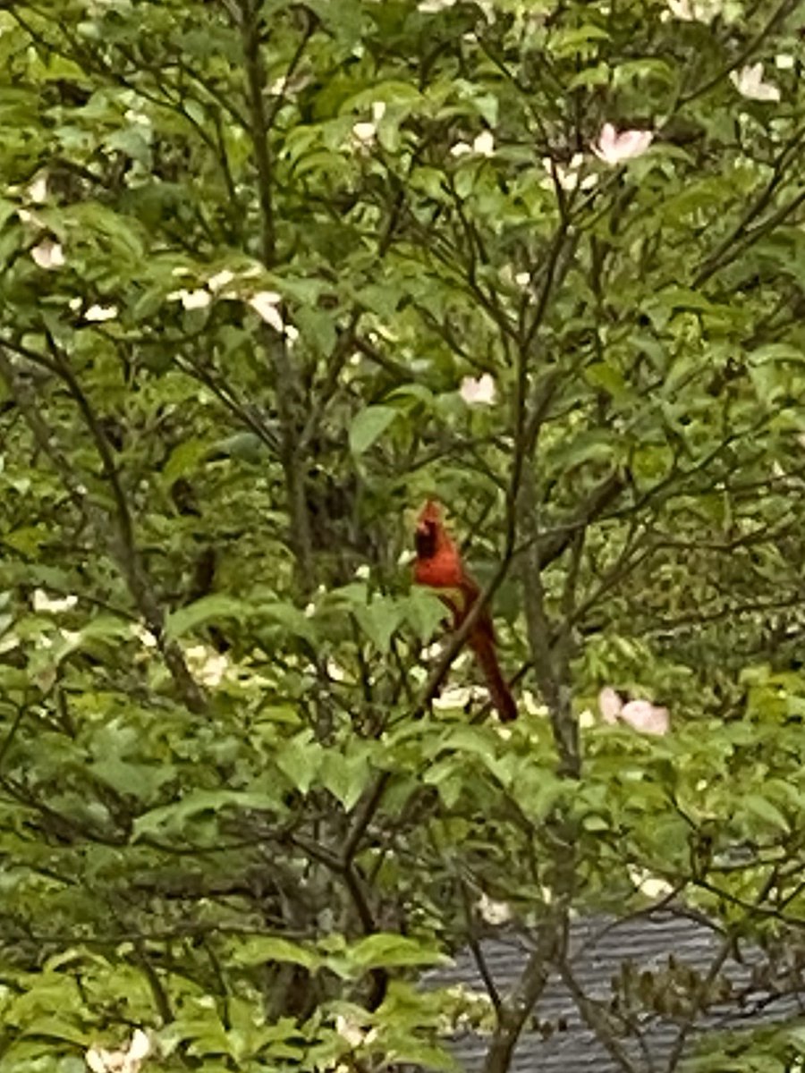 Lori Perez tweet media