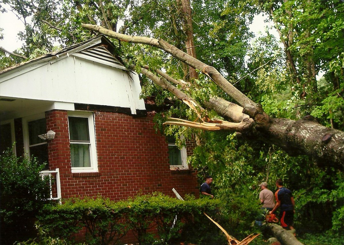 We're looking at a chance for thunderstorms in our service area tonight, with winds as strong as 15 mph. Damp ground makes it much easier for trees to topple, so we urge you to stay safe!

Our crews will be available 24/7 for emergency response. Call us anytime at 866-626-7378.