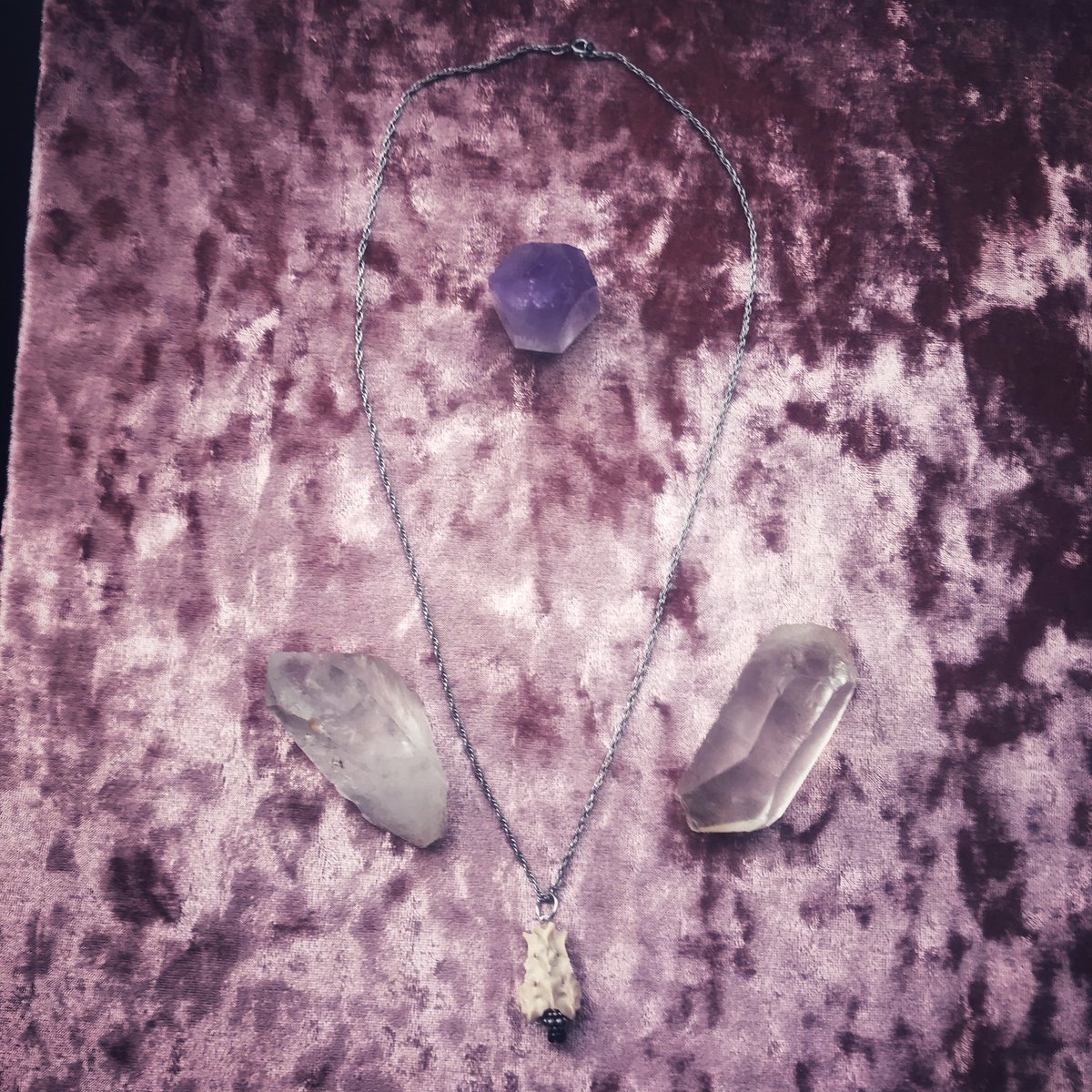asiarayfreak's tweet photo. Available now on my Etsy! Real vertebrae bone necklace 🖤✨ https://t.co/cIVKQ1bWQb https://t.co/ToOlslut0r