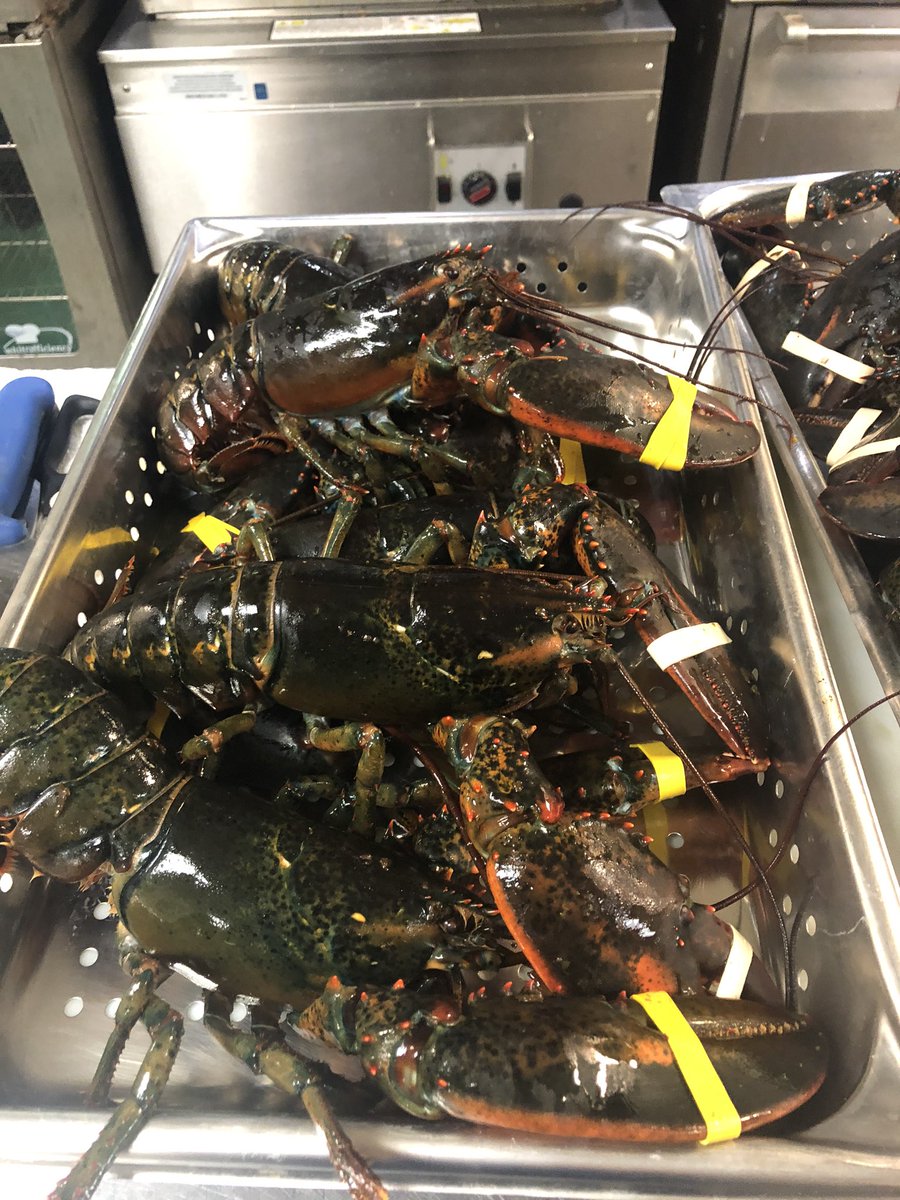 marriedtoChef's tweet photo. #married to the Chef  #ClamBake inspiration,#Lobsterr https://t.co/1XKxWU6ohu