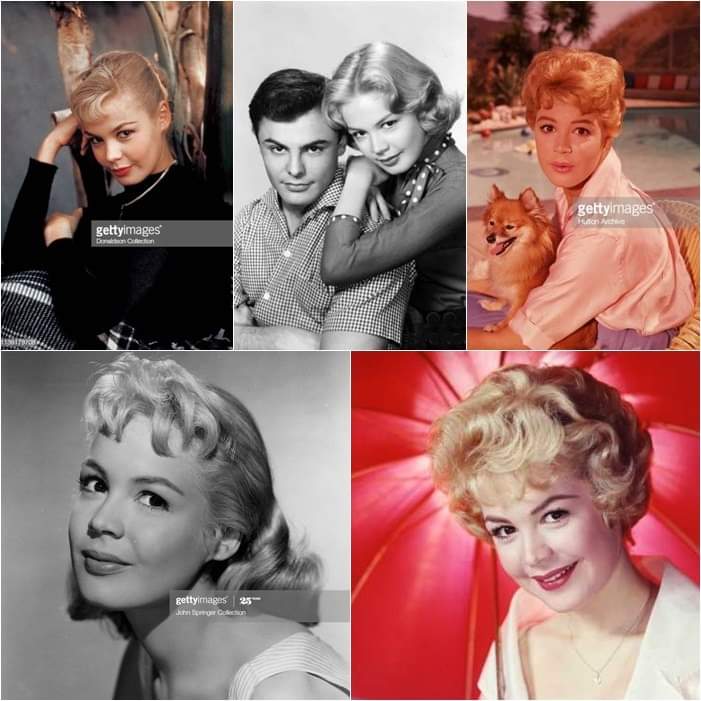 barbaravitali2's tweet photo. Remembering #SandraDee April 23,1942_February 20,2005 (Age 62) #ASummerPlace #TheRestlessYears #JohnSaxon https://t.co/DHIvQ75mn3
